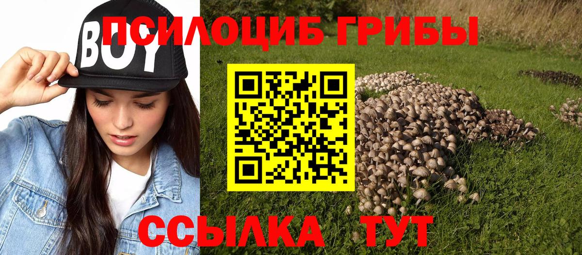 Галлюциногенные грибы Cubensis Борисоглебск